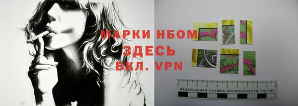 гашик Белокуриха