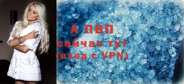 ГАЛЛЮЦИНОГЕННЫЕ ГРИБЫ Беломорск