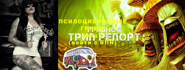 первитин Белоозёрский