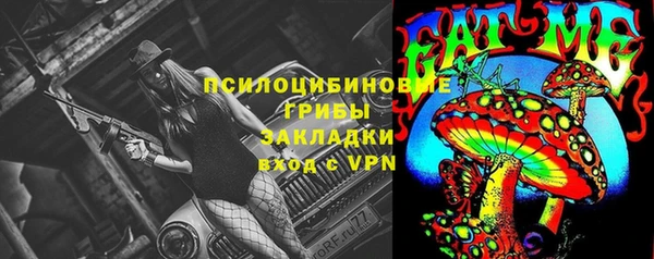 ГАЛЛЮЦИНОГЕННЫЕ ГРИБЫ Беломорск