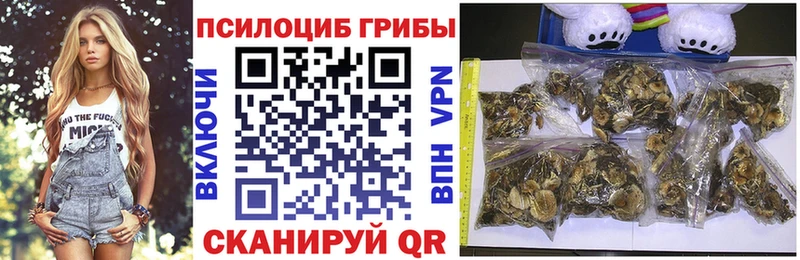 Галлюциногенные грибы GOLDEN TEACHER  Новоалександровск 